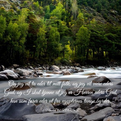 Picture 03 - 2 Mosebok 6:7 NORSK - Og jeg vil ta eder til mitt folk, og jeg vil - Bible Verse Picture