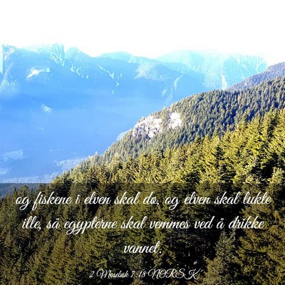 Picture 03 - 2 Mosebok 7:18 NORSK - og fiskene i elven skal dø, og elven skal lukte - Bible Verse Picture