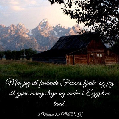 Picture 03 - 2 Mosebok 7:3 NORSK - Men jeg vil forherde Faraos hjerte, og jeg vil - Bible Verse Picture