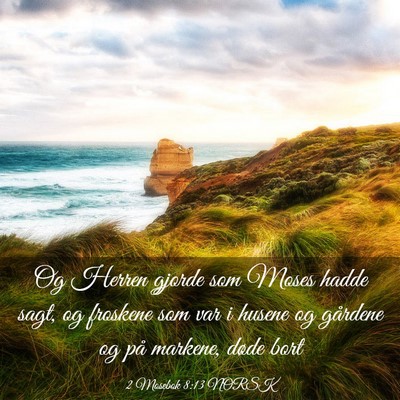 Picture 03 - 2 Mosebok 8:13 NORSK - Og Herren gjorde som Moses hadde sagt, og - Bible Verse Picture