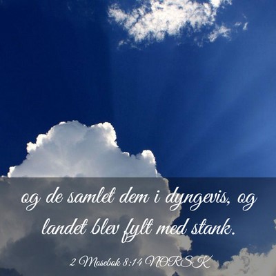 Picture 03 - 2 Mosebok 8:14 NORSK - og de samlet dem i dyngevis, og landet blev fylt - Bible Verse Picture