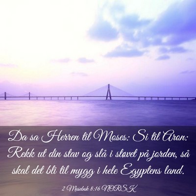 Picture 03 - 2 Mosebok 8:16 NORSK - Da sa Herren til Moses: Si til Aron: Rekk ut din - Bible Verse Picture