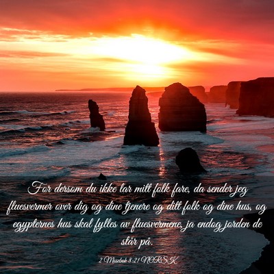 Picture 03 - 2 Mosebok 8:21 NORSK - For dersom du ikke lar mitt folk fare, da sender - Bible Verse Picture