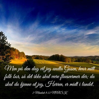 Picture 03 - 2 Mosebok 8:22 NORSK - Men på den dag vil jeg undta Gosen, hvor mitt - Bible Verse Picture