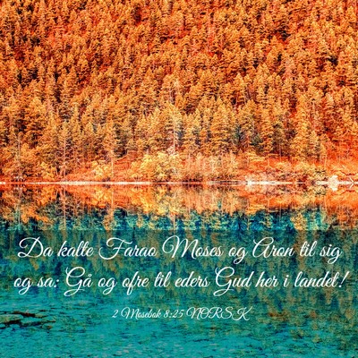 Picture 03 - 2 Mosebok 8:25 NORSK - Da kalte Farao Moses og Aron til sig og sa: Gå - Bible Verse Picture