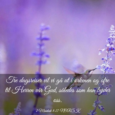 Picture 03 - 2 Mosebok 8:27 NORSK - Tre dagsreiser vil vi gå ut i ørkenen og ofre - Bible Verse Picture