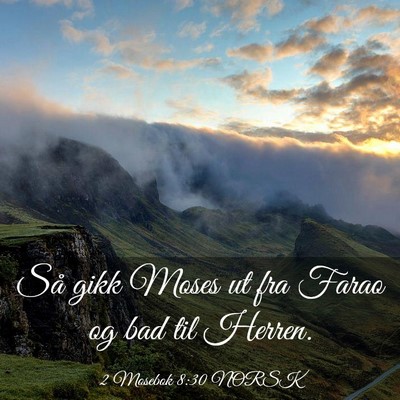 Picture 03 - 2 Mosebok 8:30 NORSK - Så gikk Moses ut fra Farao og bad til - Bible Verse Picture