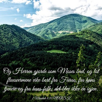 Picture 03 - 2 Mosebok 8:31 NORSK - Og Herren gjorde som Moses bad, og lot - Bible Verse Picture