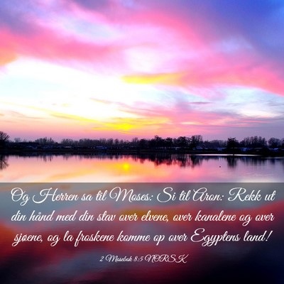 Picture 03 - 2 Mosebok 8:5 NORSK - Og Herren sa til Moses: Si til Aron: Rekk ut din - Bible Verse Picture