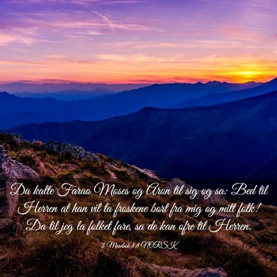 Picture 03 - 2 Mosebok 8:8 NORSK - Da kalte Farao Moses og Aron til sig og sa: Bed - Bible Verse Picture
