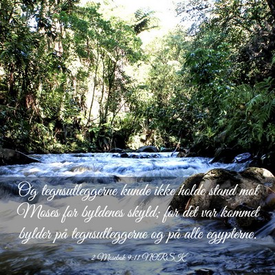 Picture 03 - 2 Mosebok 9:11 NORSK - Og tegnsutleggerne kunde ikke holde stand mot - Bible Verse Picture