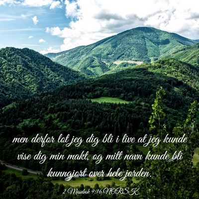 Picture 03 - 2 Mosebok 9:16 NORSK - men derfor lot jeg dig bli i live at jeg kunde - Bible Verse Picture