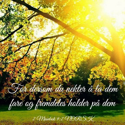 Picture 03 - 2 Mosebok 9:2 NORSK - For dersom du nekter å la dem fare og fremdeles - Bible Verse Picture