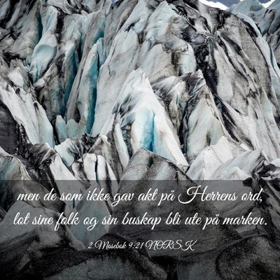 Picture 03 - 2 Mosebok 9:21 NORSK - men de som ikke gav akt på Herrens ord, lot sine - Bible Verse Picture