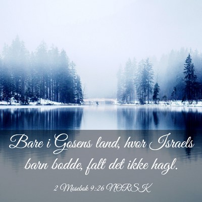 Picture 03 - 2 Mosebok 9:26 NORSK - Bare i Gosens land, hvor Israels barn bodde, falt - Bible Verse Picture