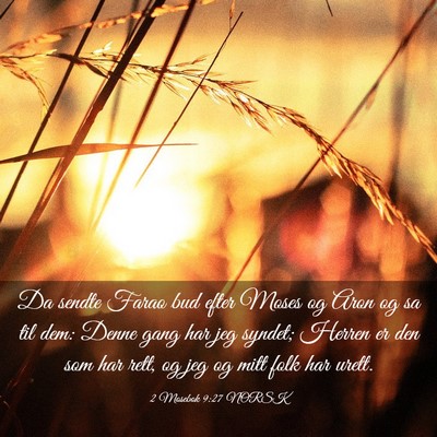 Picture 03 - 2 Mosebok 9:27 NORSK - Da sendte Farao bud efter Moses og Aron og sa til - Bible Verse Picture