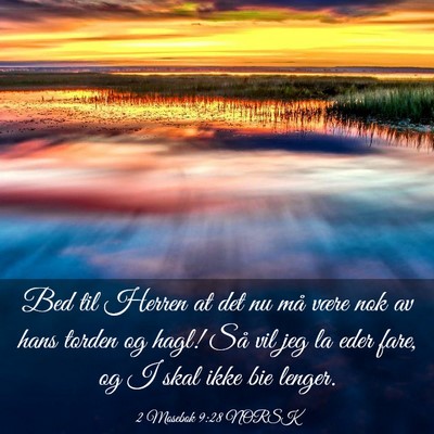 Picture 03 - 2 Mosebok 9:28 NORSK - Bed til Herren at det nu må være nok av hans - Bible Verse Picture