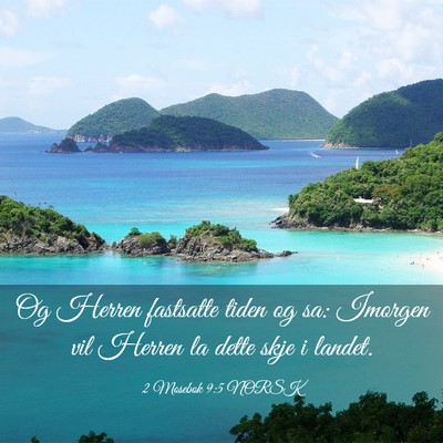 Picture 03 - 2 Mosebok 9:5 NORSK - Og Herren fastsatte tiden og sa: Imorgen vil - Bible Verse Picture