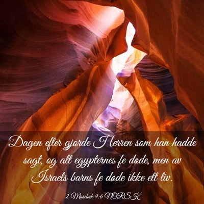 Picture 03 - 2 Mosebok 9:6 NORSK - Dagen efter gjorde Herren som han hadde sagt, og - Bible Verse Picture