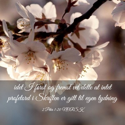 Picture 03 - 2 Peter 1:20 NORSK - idet I først og fremst vet dette at intet - Bible Verse Picture