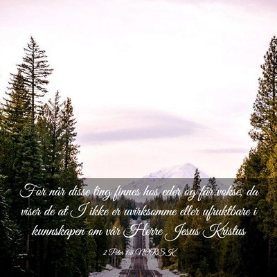 Picture 03 - 2 Peter 1:8 NORSK - For når disse ting finnes hos eder og får - Bible Verse Picture