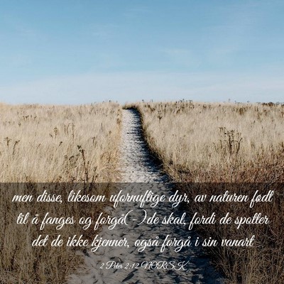 Picture 03 - 2 Peter 2:12 NORSK - men disse, likesom ufornuftige dyr, av naturen - Bible Verse Picture