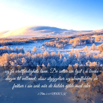 Picture 03 - 2 Peter 2:13 NORSK - og få urettferdighets lønn. De setter sin lyst - Bible Verse Picture