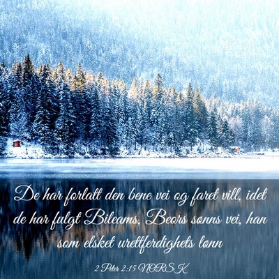 Picture 03 - 2 Peter 2:15 NORSK - De har forlatt den bene vei og faret vill, idet - Bible Verse Picture