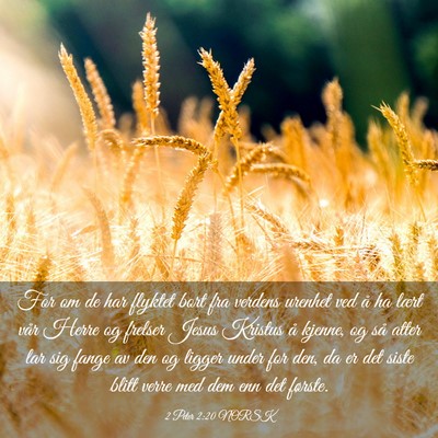 Picture 03 - 2 Peter 2:20 NORSK - For om de har flyktet bort fra verdens urenhet - Bible Verse Picture