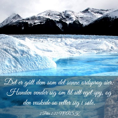 Picture 03 - 2 Peter 2:22 NORSK - Det er gått dem som det sanne ordsprog sier: - Bible Verse Picture
