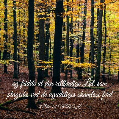Picture 03 - 2 Peter 2:7 NORSK - og fridde ut den rettferdige Lot, som plagedes - Bible Verse Picture