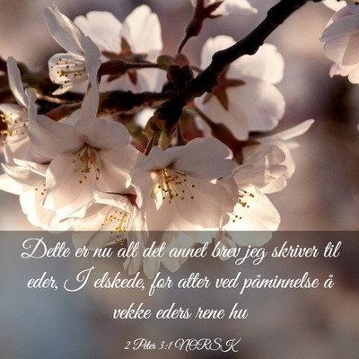 Picture 03 - 2 Peter 3:1 NORSK - Dette er nu alt det annet brev jeg skriver til - Bible Verse Picture