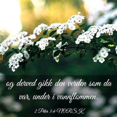 Picture 03 - 2 Peter 3:6 NORSK - og derved gikk den verden som da var, under i - Bible Verse Picture