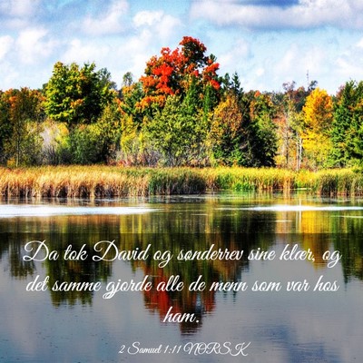 Picture 03 - 2 Samuel 1:11 NORSK - Da tok David og sønderrev sine klær, og det - Bible Verse Picture