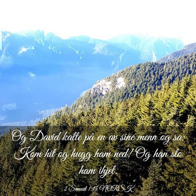 Picture 03 - 2 Samuel 1:15 NORSK - Og David kalte på en av sine menn og sa: Kom hit - Bible Verse Picture