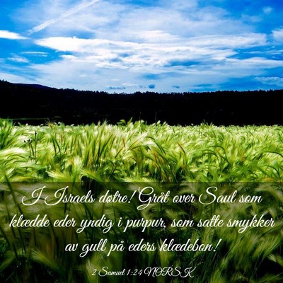 Picture 03 - 2 Samuel 1:24 NORSK - I Israels døtre! Gråt over Saul som klædde - Bible Verse Picture