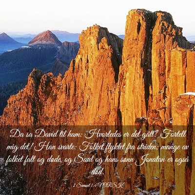 Picture 03 - 2 Samuel 1:4 NORSK - Da sa David til ham: Hvorledes er det gått? - Bible Verse Picture