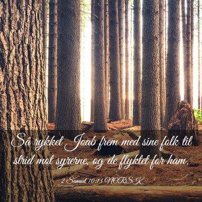 Picture 03 - 2 Samuel 10:13 NORSK - Så rykket Joab frem med sine folk til strid mot - Bible Verse Picture