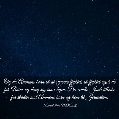 Picture 03 - 2 Samuel 10:14 NORSK - Og da Ammons barn så at syrerne flyktet, så - Bible Verse Picture