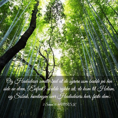 Picture 03 - 2 Samuel 10:16 NORSK - Og Hadadeser sendte bud at de syrere som bodde - Bible Verse Picture