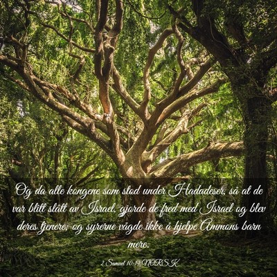 Picture 03 - 2 Samuel 10:19 NORSK - Og da alle kongene som stod under Hadadeser, så - Bible Verse Picture