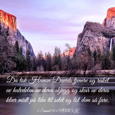 Picture 03 - 2 Samuel 10:4 NORSK - Da tok Hanun Davids tjenere og raket av halvdelen - Bible Verse Picture