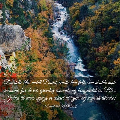 Picture 03 - 2 Samuel 10:5 NORSK - Da dette blev meldt David, sendte han folk som - Bible Verse Picture