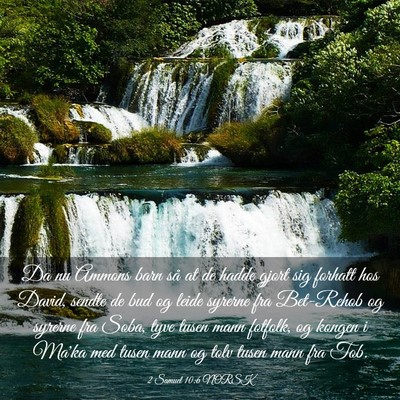 Picture 03 - 2 Samuel 10:6 NORSK - Da nu Ammons barn så at de hadde gjort sig - Bible Verse Picture