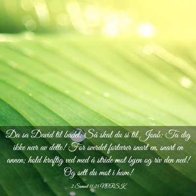 Picture 03 - 2 Samuel 11:25 NORSK - Da sa David til budet: Så skal du si til Joab: - Bible Verse Picture