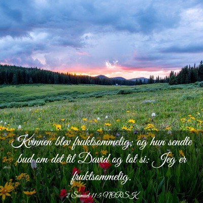 Picture 03 - 2 Samuel 11:5 NORSK - Kvinnen blev fruktsommelig; og hun sendte bud om - Bible Verse Picture