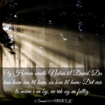 Picture 03 - 2 Samuel 12:1 NORSK - Og Herren sendte Natan til David. Da han kom inn - Bible Verse Picture