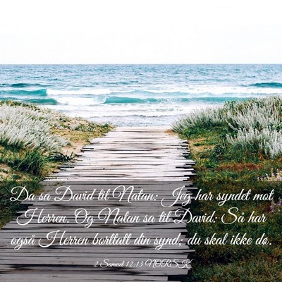 Picture 03 - 2 Samuel 12:13 NORSK - Da sa David til Natan: Jeg har syndet mot Herren. - Bible Verse Picture