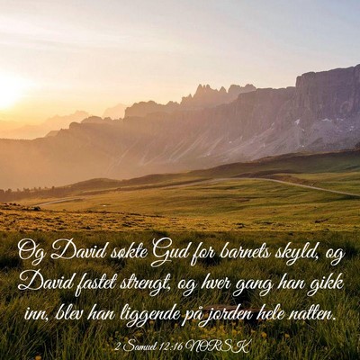 Picture 03 - 2 Samuel 12:16 NORSK - Og David søkte Gud for barnets skyld, og David - Bible Verse Picture