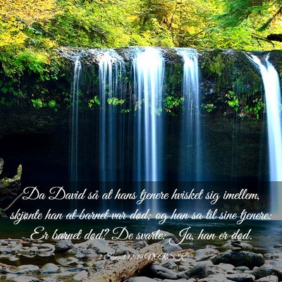 Picture 03 - 2 Samuel 12:19 NORSK - Da David så at hans tjenere hvisket sig imellem, - Bible Verse Picture